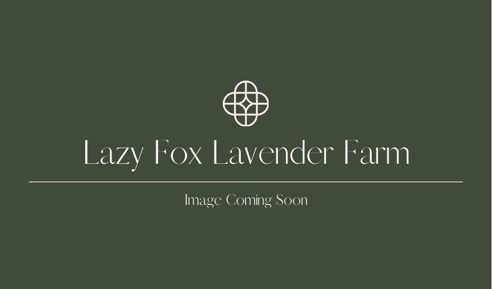 Lazy Fox Lavender Farm Mug