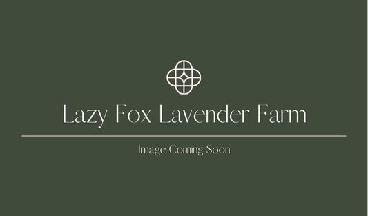 Lazy Fox Logo Sticker